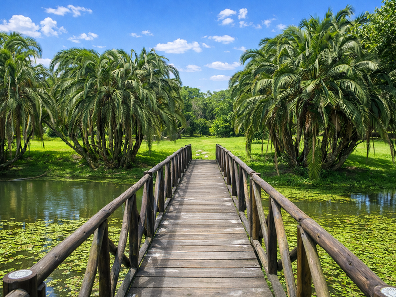 Bed & Breakfast For Sale In Elysium - Photo 4