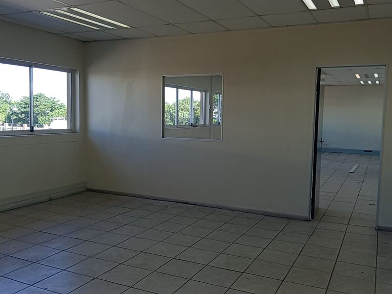 An empty, open-plan office space featuring tiled flooring, a suspended ceiling with recessed lighting, and large aluminium-framed windows.