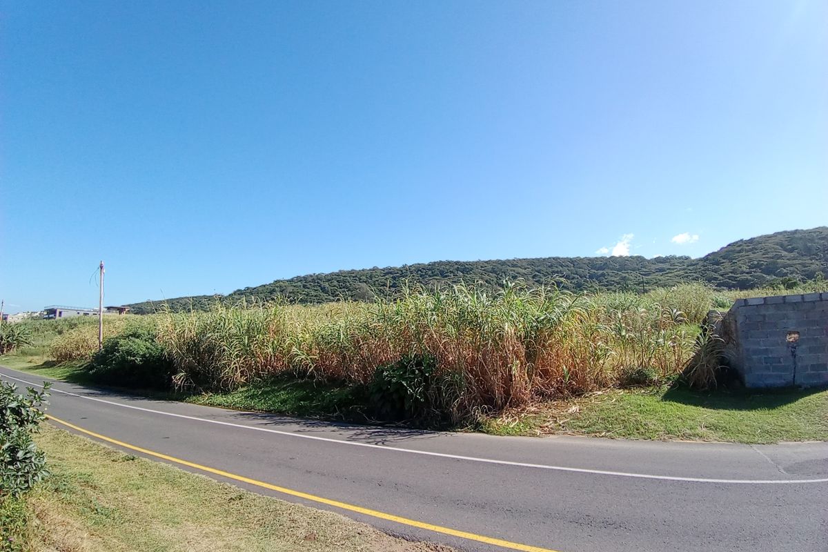Prime Development Land for Sale – La Mercy - Photo 2