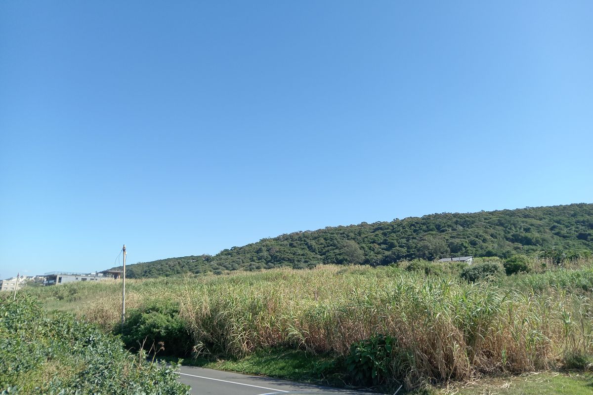 A view of the vacant commercial land featuring natural vegetation and a hillside backdrop, adjacent to a paved road.