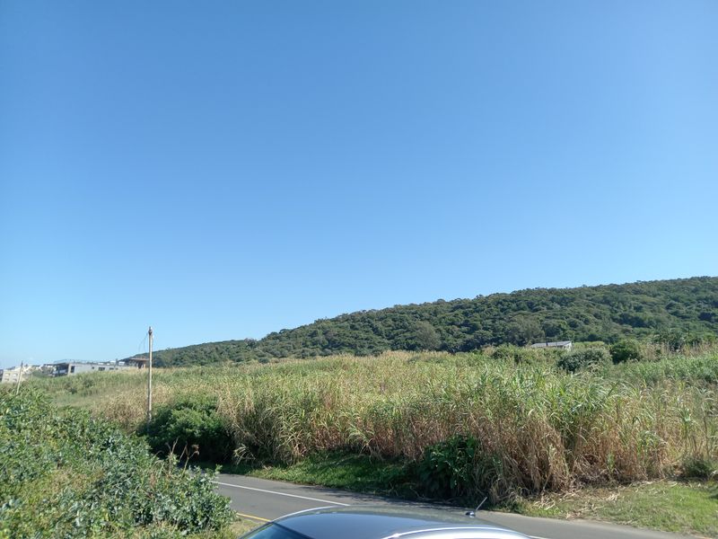 A view of the vacant commercial land featuring natural vegetation and a hillside backdrop, adjacent to a paved road.