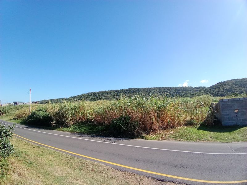 A view of a vacant commercial land plot featuring roadside access, overgrown vegetation, and a partial masonry wall structure.