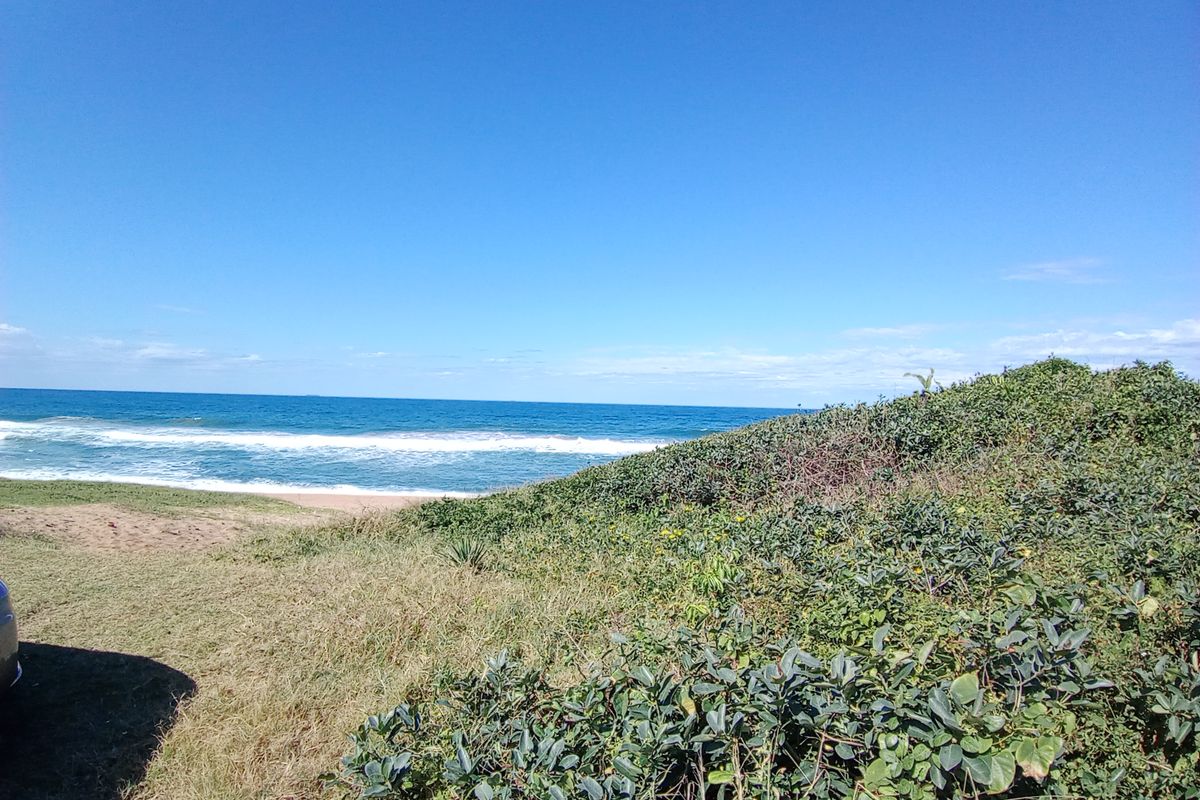 A scenic view of the coastline featuring natural dunes, coastal vegetation, and an expansive ocean horizon.