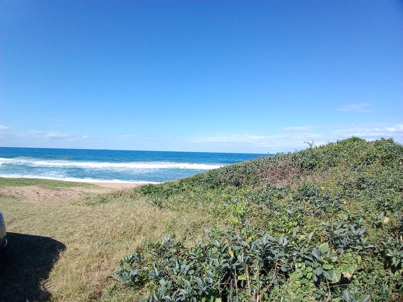 A scenic view of the coastline featuring natural dunes, coastal vegetation, and an expansive ocean horizon.