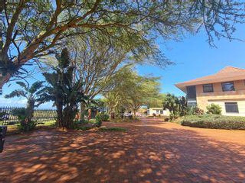 Prime Office Unit For Sale In La Lucia. - Photo 3