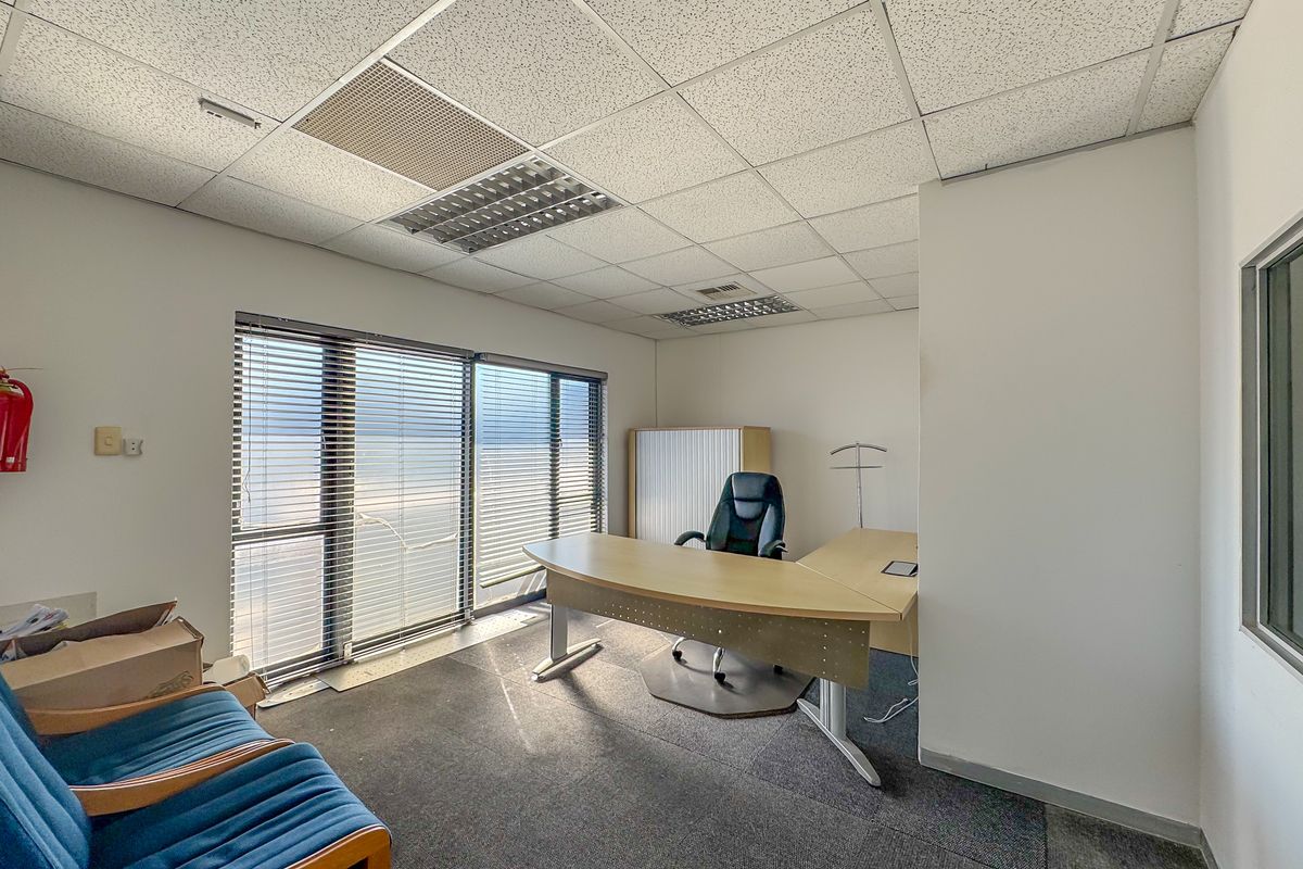 A functional office space featuring a suspended ceiling with recessed lighting, large windows with venetian blinds, and carpeted flooring.