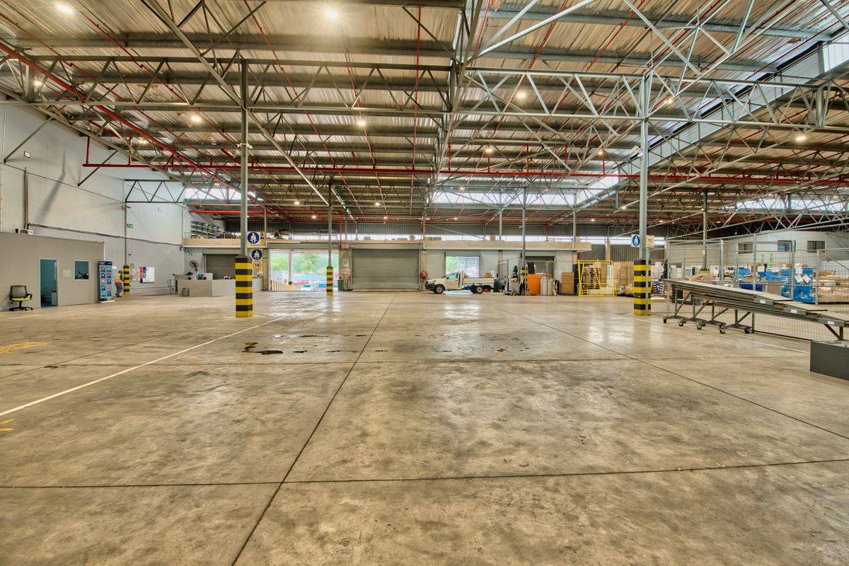 Spacious industrial warehouse featuring high ceilings with exposed steel trusses, concrete flooring, fire sprinkler system, and multiple roller shutter doors for efficient access.
