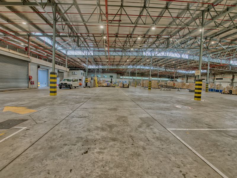 Expansive industrial warehouse space featuring high steel truss ceilings, fire sprinkler systems, concrete flooring, and large roller shutter access doors.