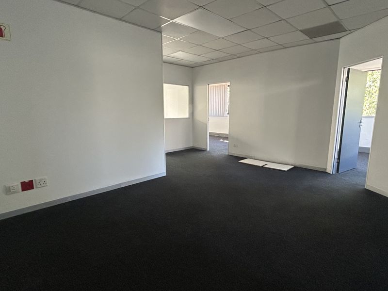 An empty, open-plan office space featuring dark carpeting, a suspended ceiling, and neutral walls, providing a versatile layout for professional use.