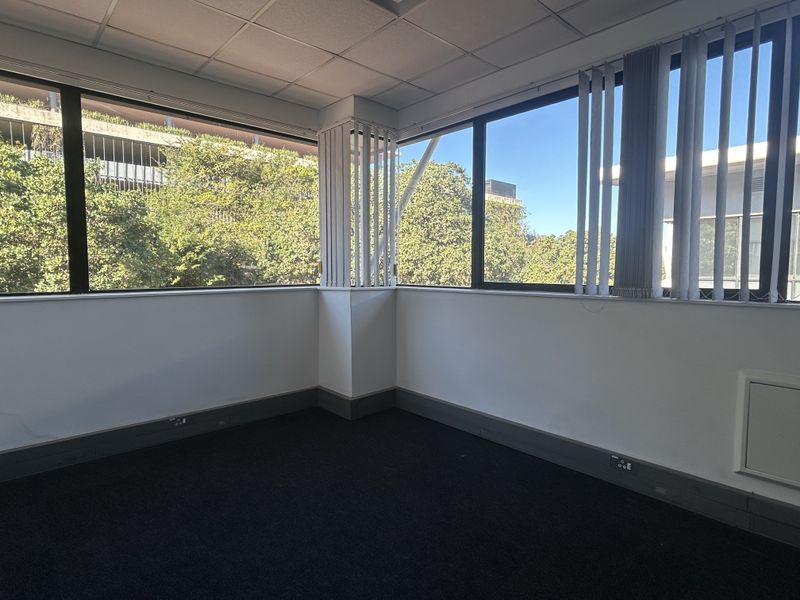 A bright, empty corner office space featuring large windows with vertical blinds, dark carpeting, and a suspended ceiling.