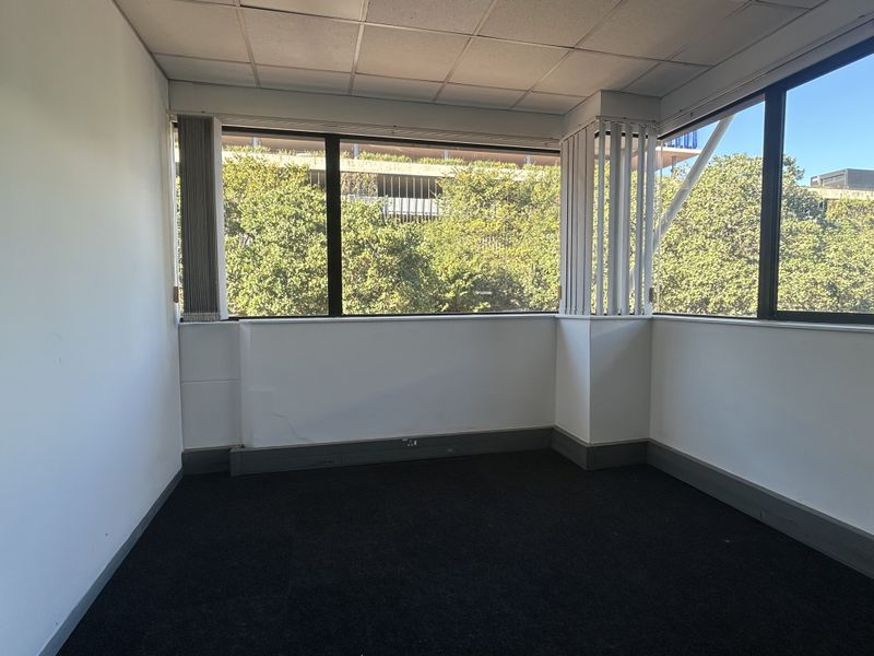 An empty office space featuring large windows with natural light, dark carpeting, and a suspended ceiling, suitable for a professional workspace.