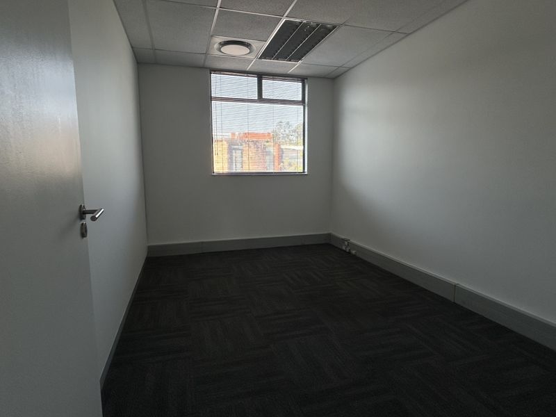 A clean, empty office space featuring carpet tiles, a suspended ceiling with recessed lighting, and a window with fitted venetian blinds.