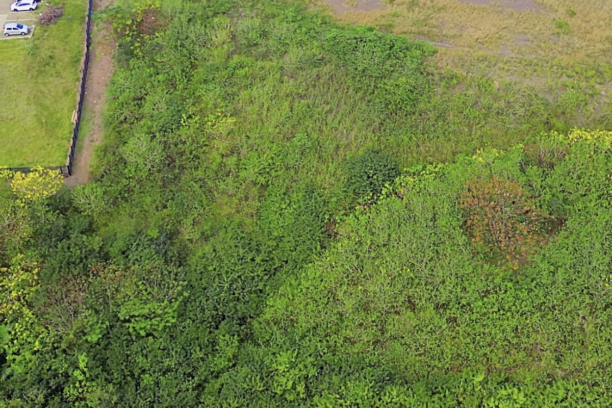 Aerial view of a vacant commercial land plot featuring dense vegetation and a concrete boundary wall.