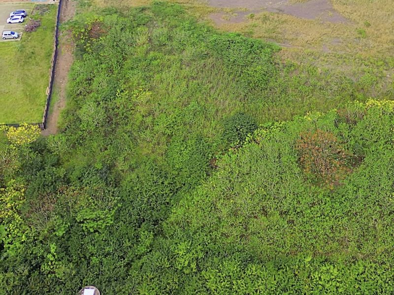 Aerial view of a vacant commercial land plot featuring dense vegetation and a concrete boundary wall.