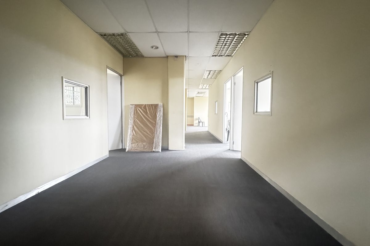 A vacant office hallway featuring suspended ceilings, carpeted flooring, and internal windows, currently showing signs of wear and requiring maintenance.