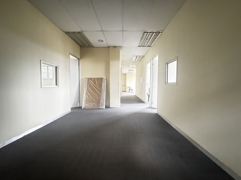 A vacant office hallway featuring suspended ceilings, carpeted flooring, and internal windows, currently showing signs of wear and requiring maintenance.