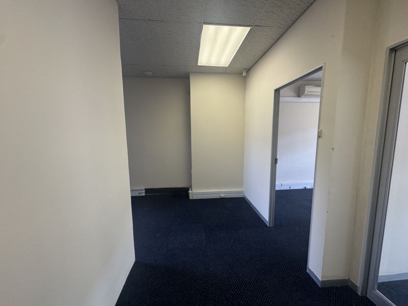 An empty office space featuring a suspended ceiling with recessed lighting and dark carpeted flooring, providing a clean and functional workspace.