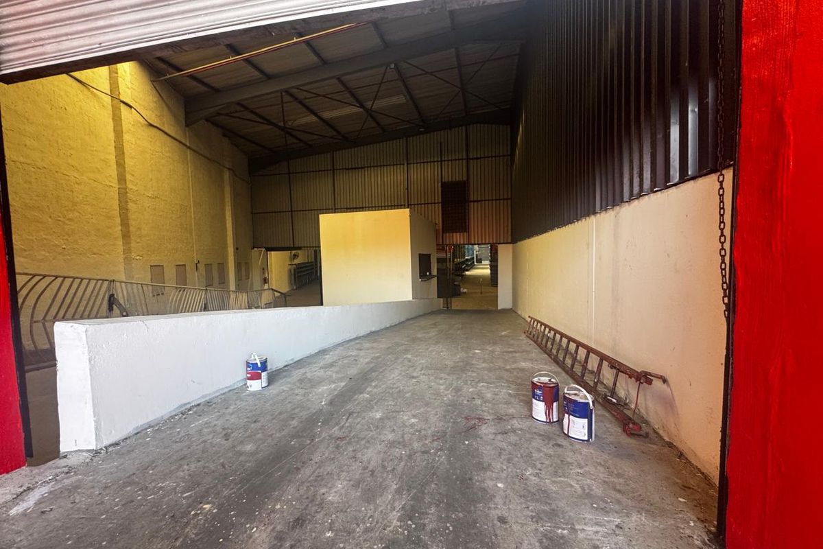 Spacious industrial utility area featuring a concrete ramp, high metal roof structure, and roller shutter door access, suitable for storage or logistics operations.