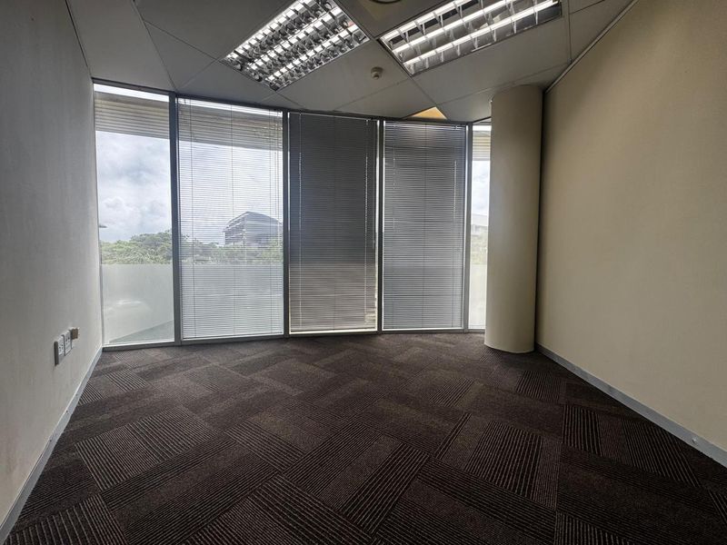 A bright, empty office space featuring carpet tiles, recessed lighting, and large floor-to-ceiling windows with fitted venetian blinds.