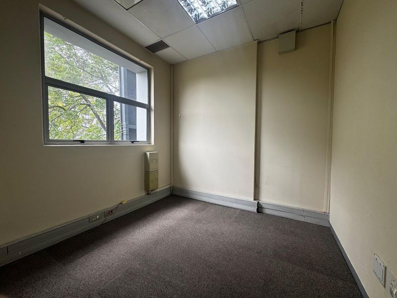 A vacant office space featuring carpeted flooring, a suspended ceiling with recessed lighting, and a large window providing natural light.