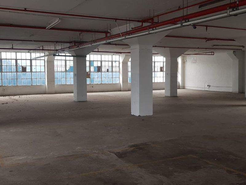 FACTORY SPACE TO LET IN GREYVILLE, DURBAN - Photo 6