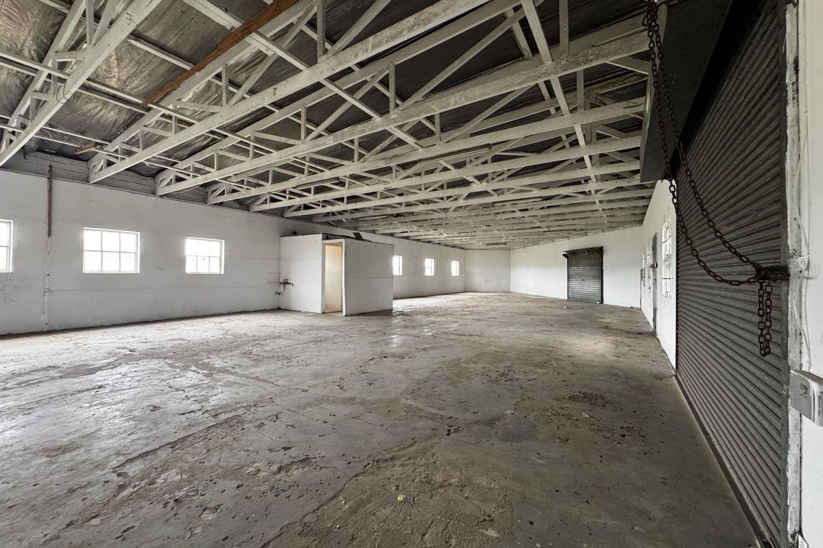 Spacious industrial warehouse area featuring exposed steel roof trusses, concrete flooring, and multiple roller shutter doors, offering a versatile open-plan workspace.