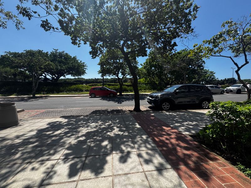 A view of the paved sidewalk and street frontage adjacent to the property, featuring mature trees and landscaped verge areas.