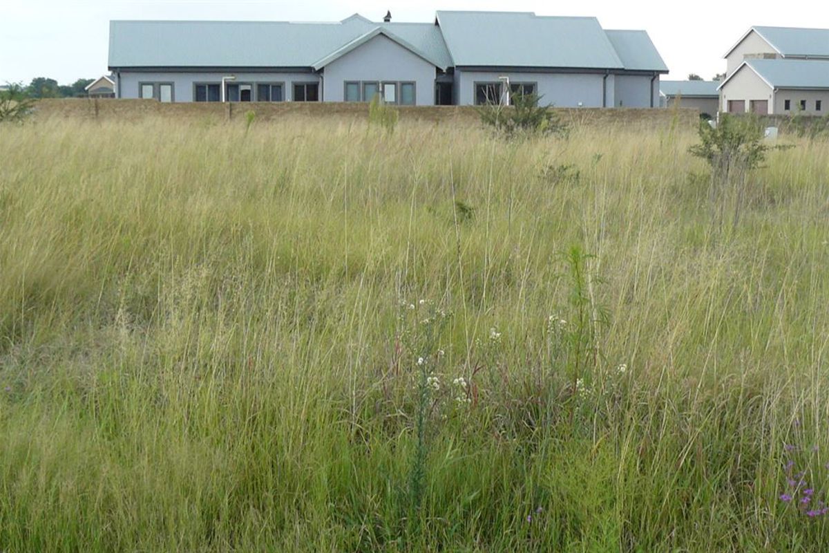 Parys Golf Estate - Photo 4