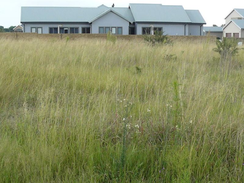 Parys Golf Estate - Photo 4