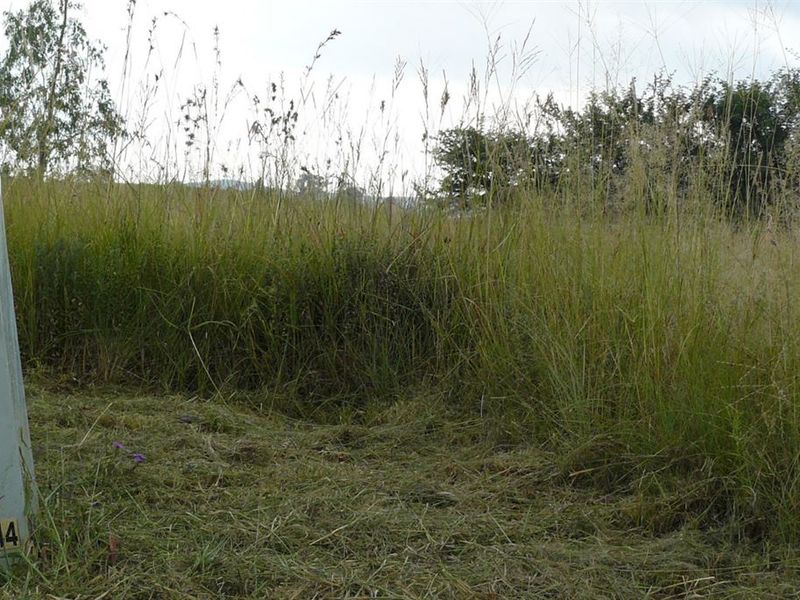 Parys Golf Estate - Photo 3