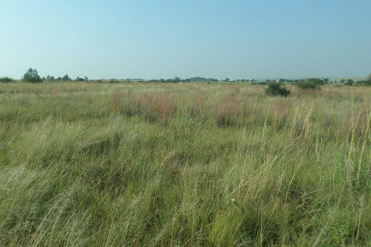 Secure estate stand in Parys - Photo 2