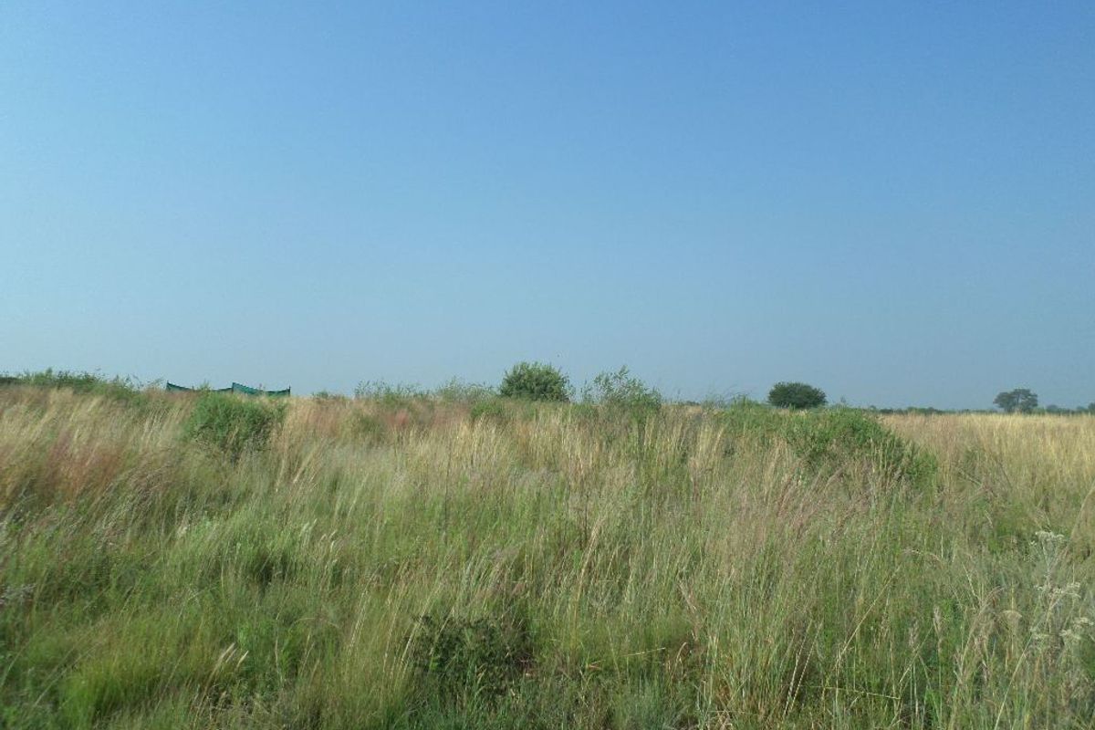 Secure estate stand in Parys - Photo 5