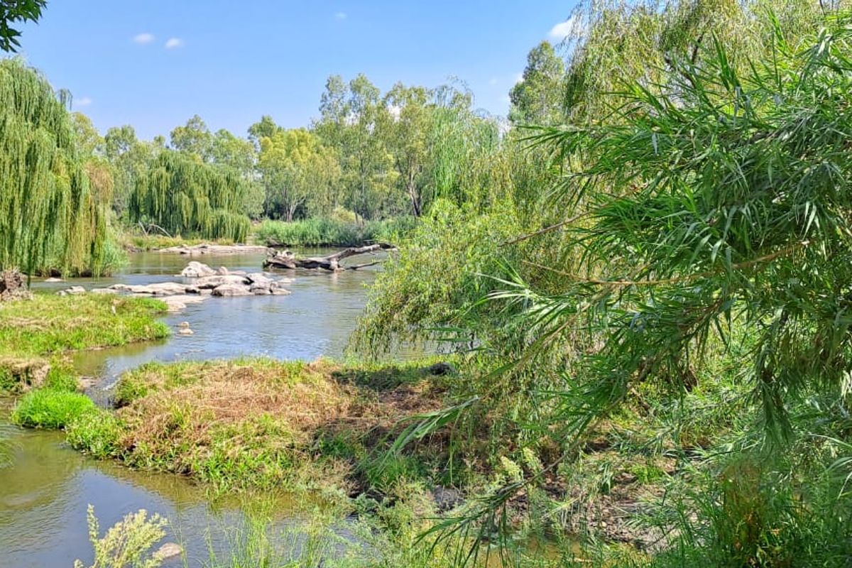 "Discover the Ultimate Riverside Lifestyle in Parys' - Photo 5