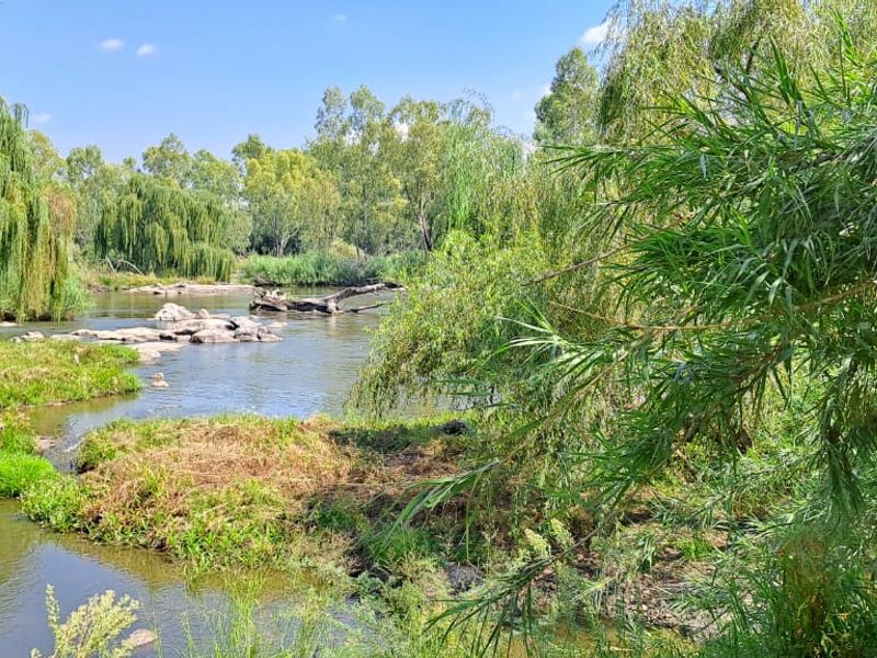 "Discover the Ultimate Riverside Lifestyle in Parys' - Photo 5