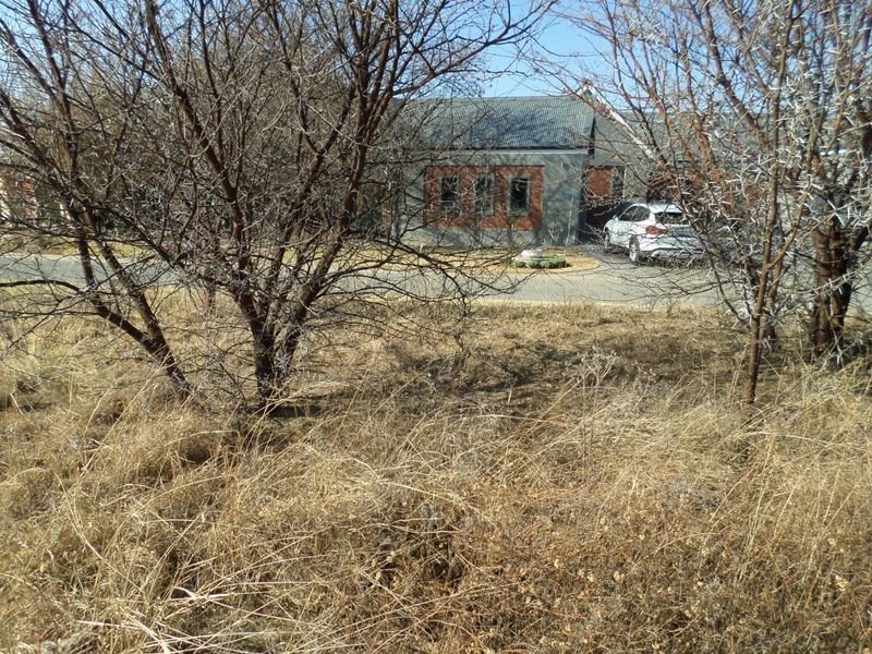 Vacant land /plot for sale in Parys Golf and Country Estate. - Photo 9