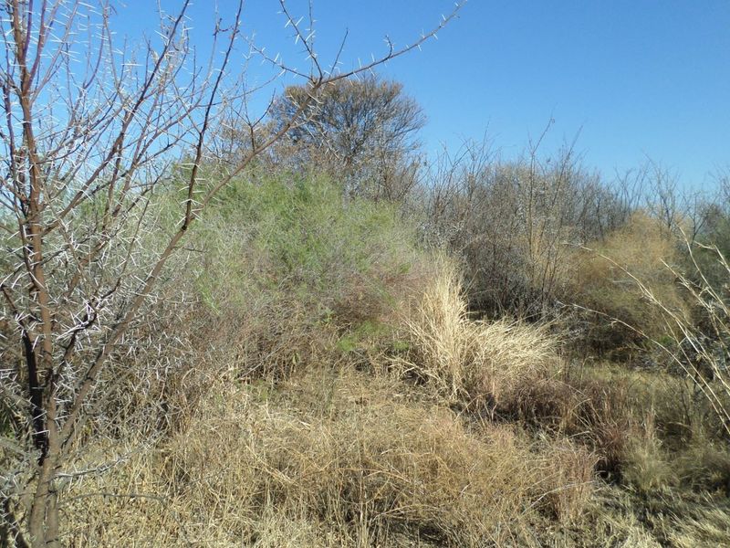 Vacant land /plot for sale in Parys Golf and Country Estate. - Photo 8