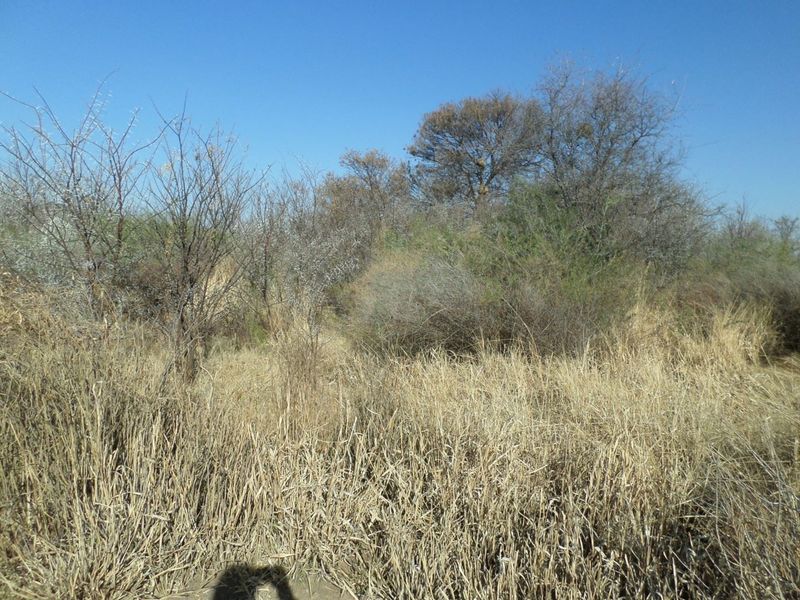 Vacant land /plot for sale in Parys Golf and Country Estate. - Photo 7