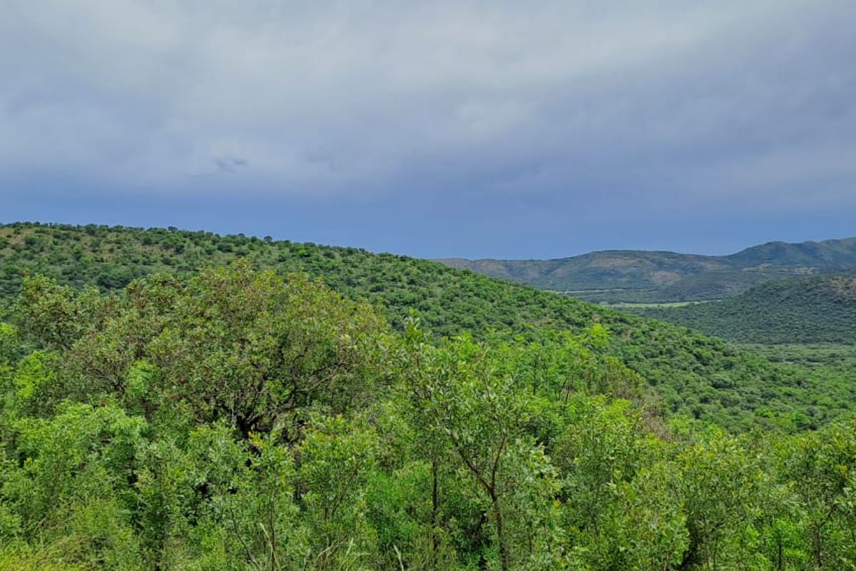 Experience the Ultimate Farming and Hospitality Retreat !!! - Photo 3