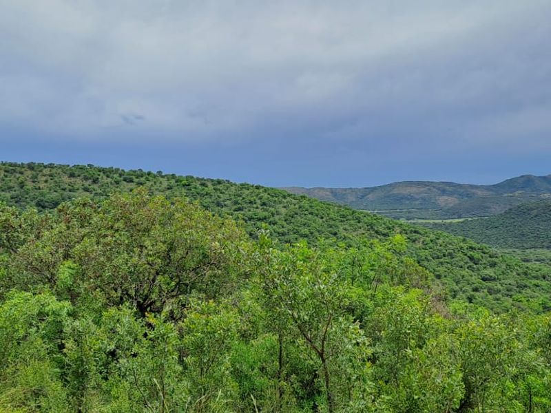 Experience the Ultimate Farming and Hospitality Retreat !!! - Photo 3