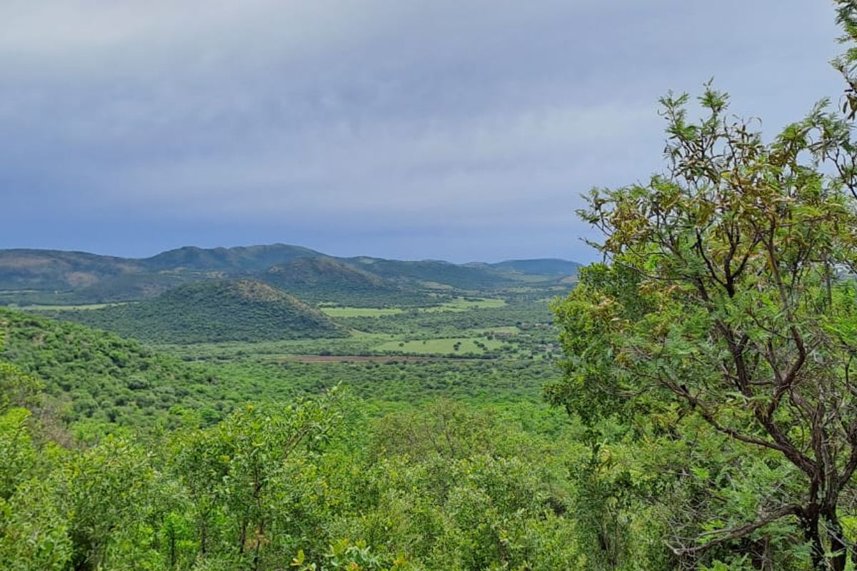 Experience the Ultimate Farming and Hospitality Retreat !!! - Photo 2