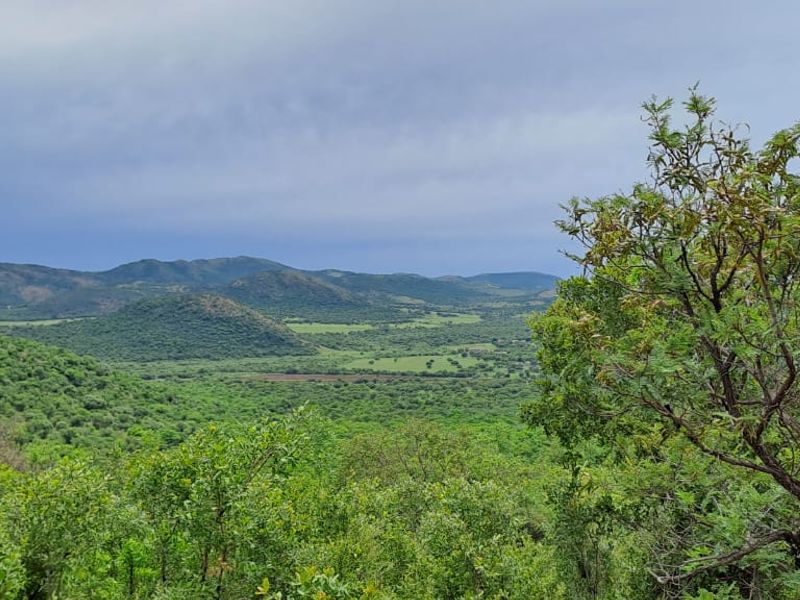 Experience the Ultimate Farming and Hospitality Retreat !!! - Photo 2