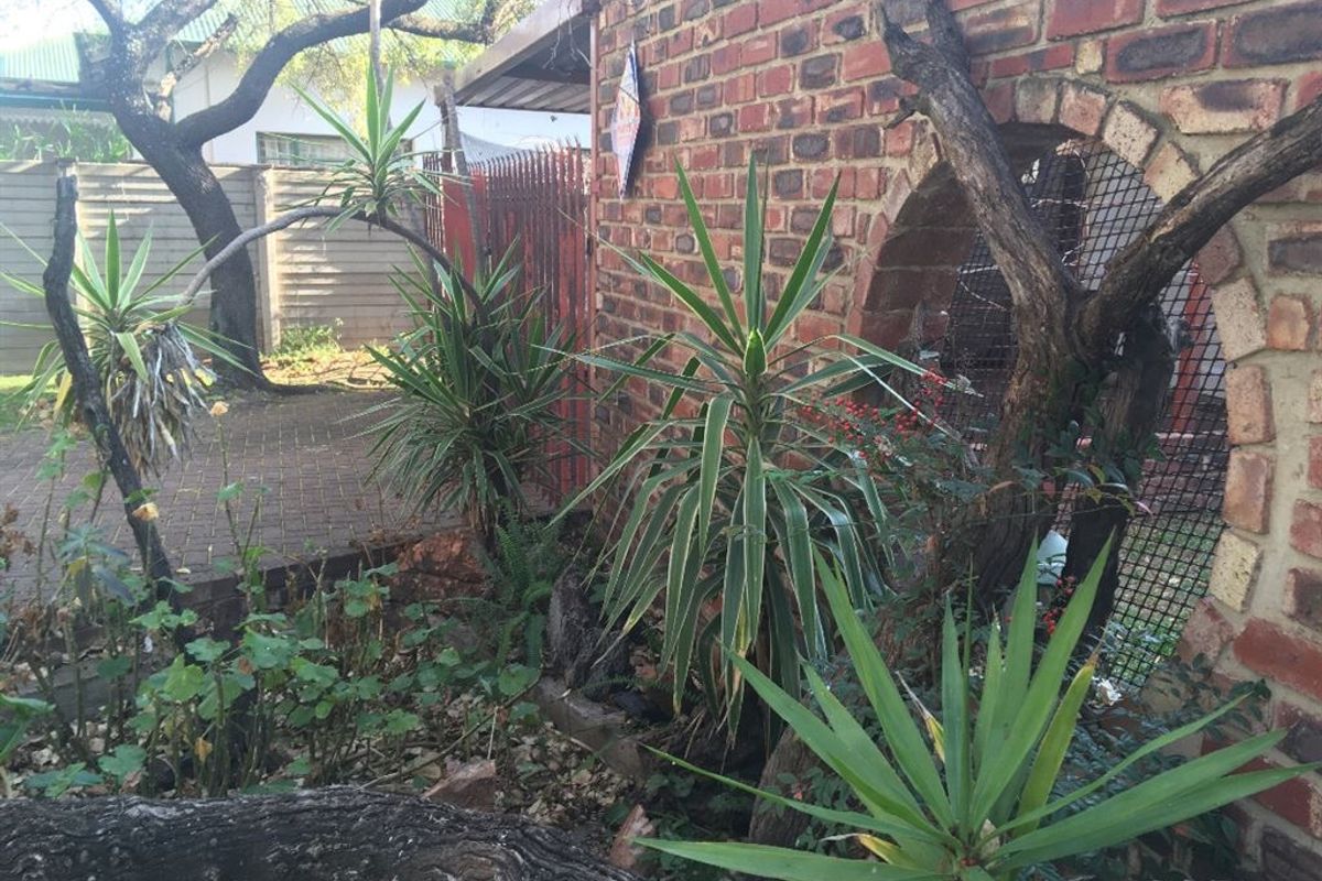 Large family home with strong borehole! - Photo 2