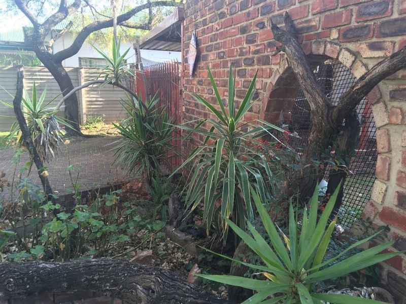 Large family home with strong borehole! - Photo 2