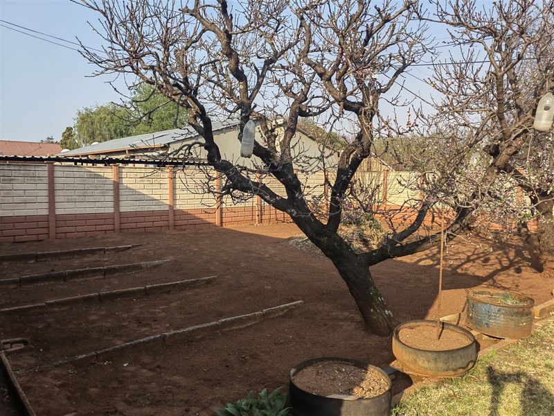 Character home for sale in Parys - Photo 6