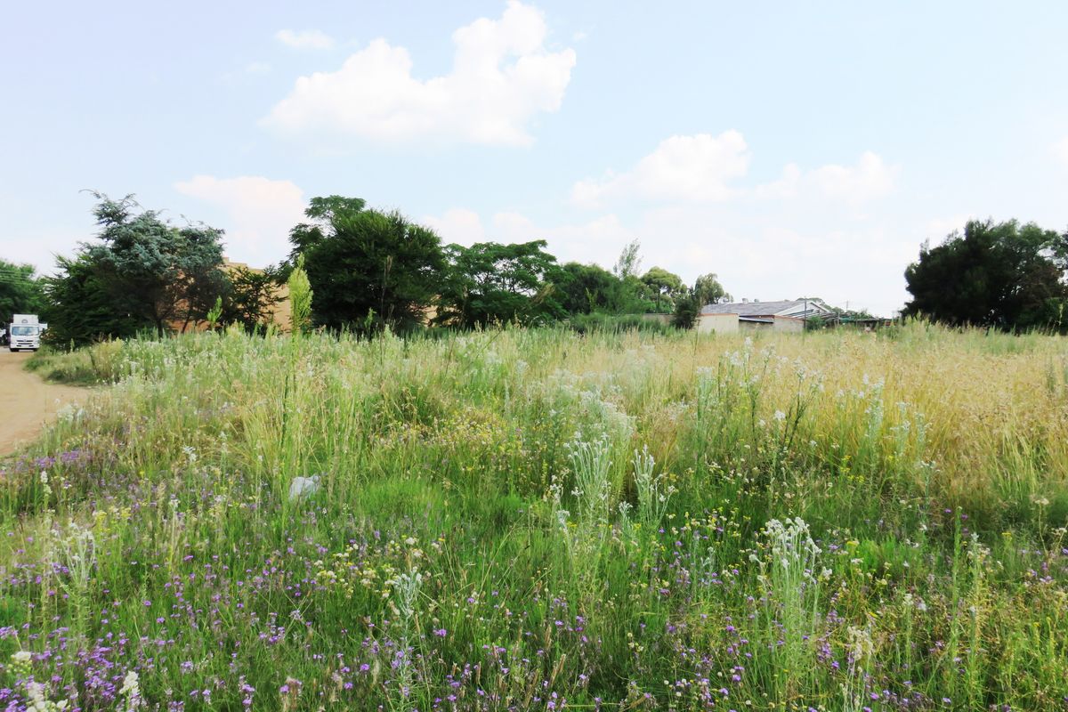 Commercial Land for Development in Deneysville, Vaal Dam. - Photo 4