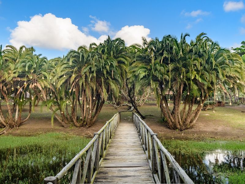 Luxury Coastal Retreat with Endless Potential - Photo 10