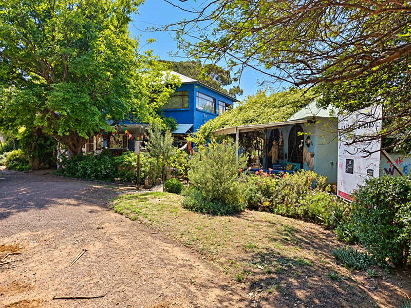 Front view of a commercial property featuring a blue exterior, metal roofing, a covered patio area, and established garden landscaping.