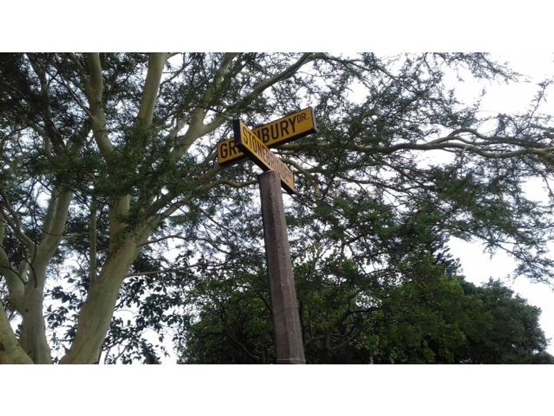 A street sign indicating the intersection of Stonebury Drive and another street, surrounded by mature trees in a residential neighborhood.