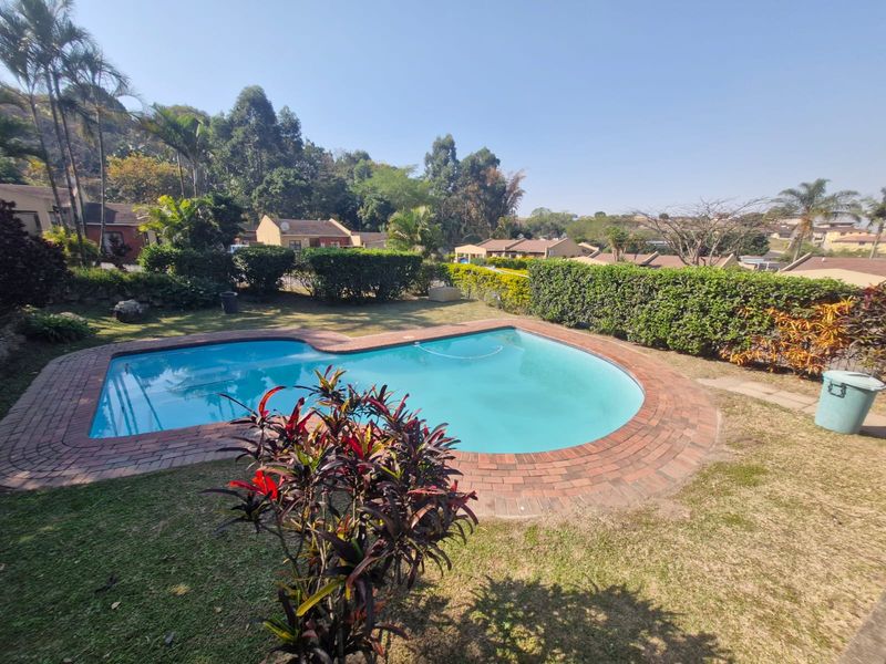 A well-maintained outdoor pool area featuring a kidney-shaped swimming pool with brick coping, surrounded by a landscaped garden and established privacy hedging.