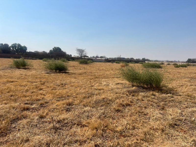 A wide-angle view of a vacant residential plot featuring dry grass, scattered shrubs, and a perimeter boundary wall in the background.